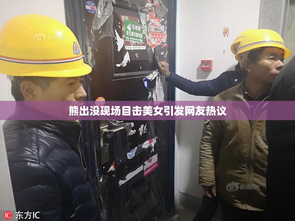 熊出没现场目击美女引发网友热议
