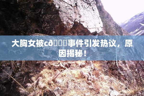 大胸女被c🔞事件引发热议，原因揭秘！