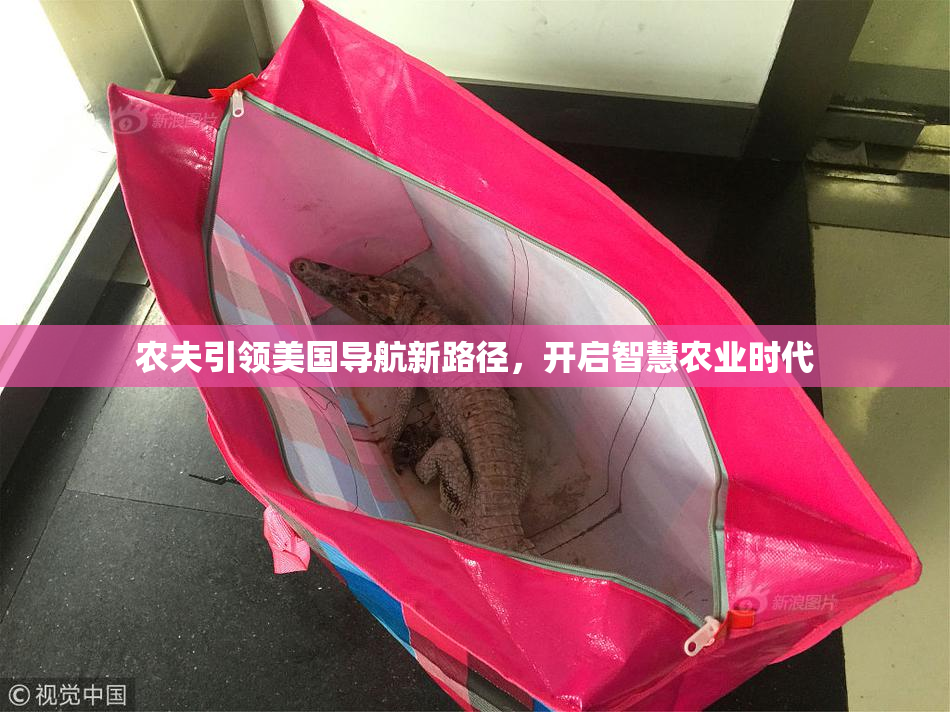 农夫引领美国导航新路径，开启智慧农业时代
