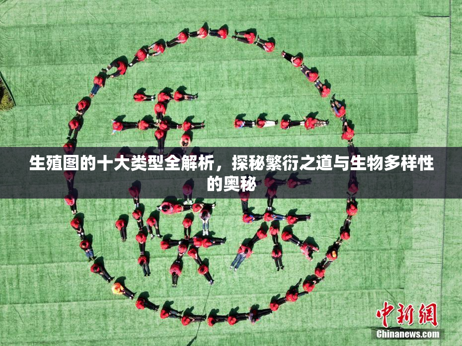 生殖图的十大类型全解析，探秘繁衍之道与生物多样性的奥秘