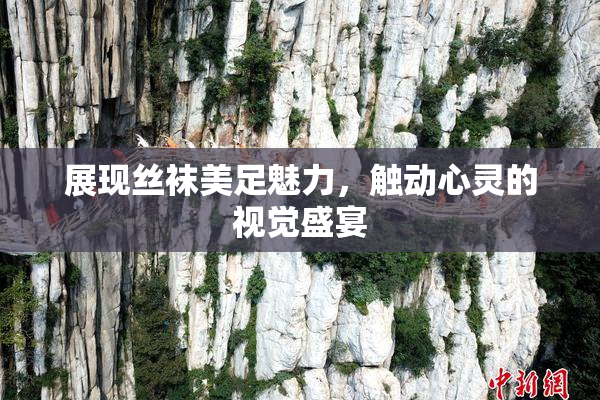 展现丝袜美足魅力，触动心灵的视觉盛宴