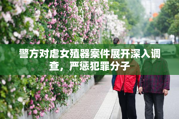 警方对虐女殖器案件展开深入调查，严惩犯罪分子