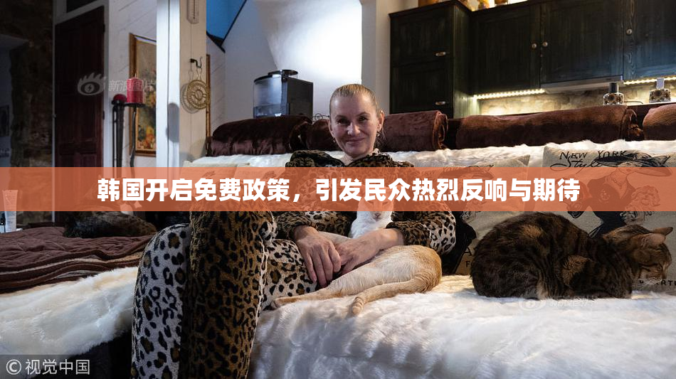 韩国开启免费政策，引发民众热烈反响与期待