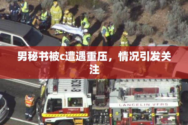 男秘书被c遭遇重压，情况引发关注
