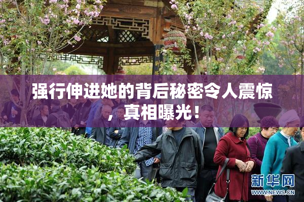强行伸进她的背后秘密令人震惊，真相曝光！