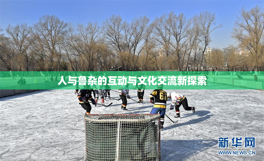 人与鲁杂的互动与文化交流新探索