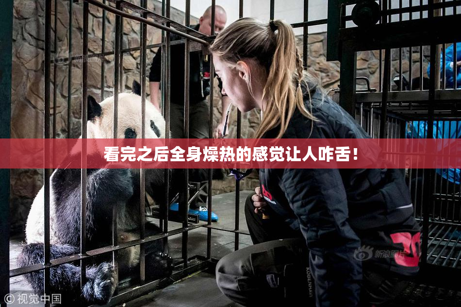 看完之后全身燥热的感觉让人咋舌！