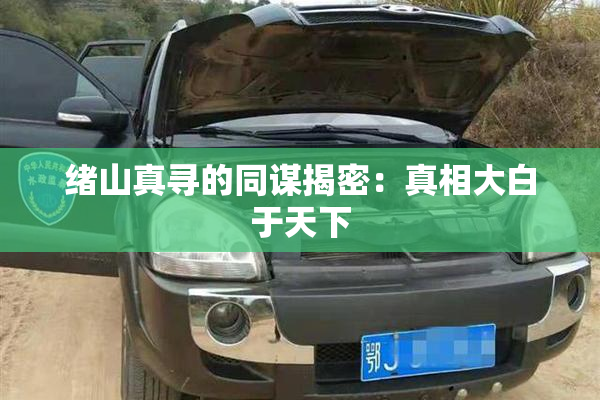绪山真寻的同谋揭密：真相大白于天下