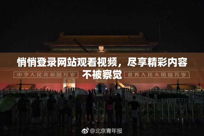 悄悄登录网站观看视频，尽享精彩内容不被察觉
