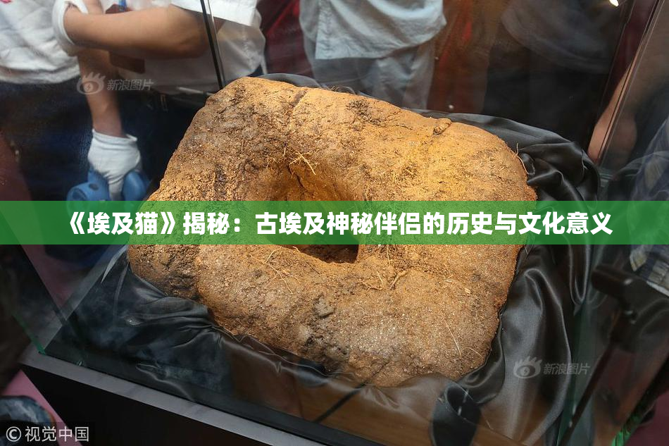 《埃及猫》揭秘：古埃及神秘伴侣的历史与文化意义