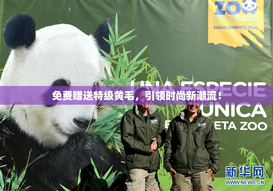 免费赠送特级黄毛，引领时尚新潮流！