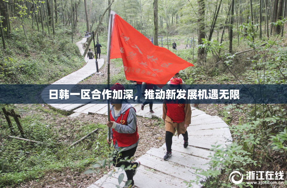 日韩一区合作加深，推动新发展机遇无限