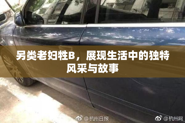 另类老妇牲B，展现生活中的独特风采与故事