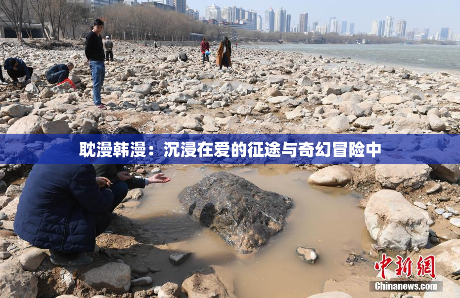 耽漫韩漫：沉浸在爱的征途与奇幻冒险中