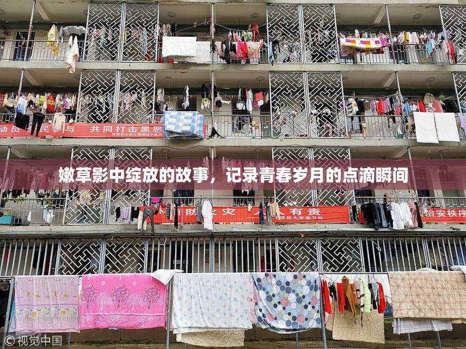 嫩草影中绽放的故事，记录青春岁月的点滴瞬间