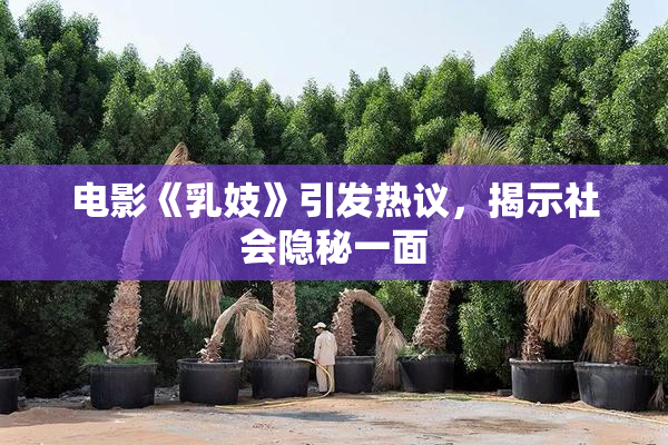 电影《乳妓》引发热议，揭示社会隐秘一面