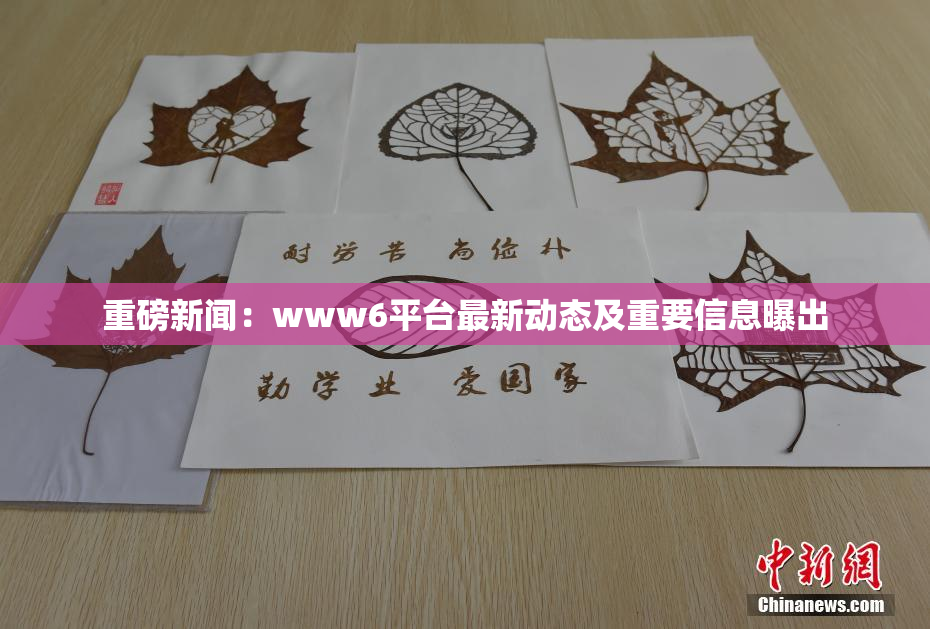 重磅新闻：www6平台最新动态及重要信息曝出