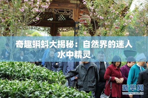 奇趣蝌蚪大揭秘：自然界的迷人水中精灵