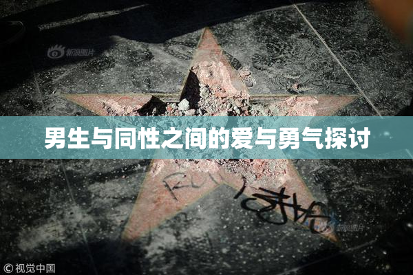男生与同性之间的爱与勇气探讨