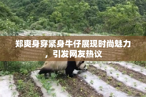 郑爽身穿紧身牛仔展现时尚魅力，引发网友热议