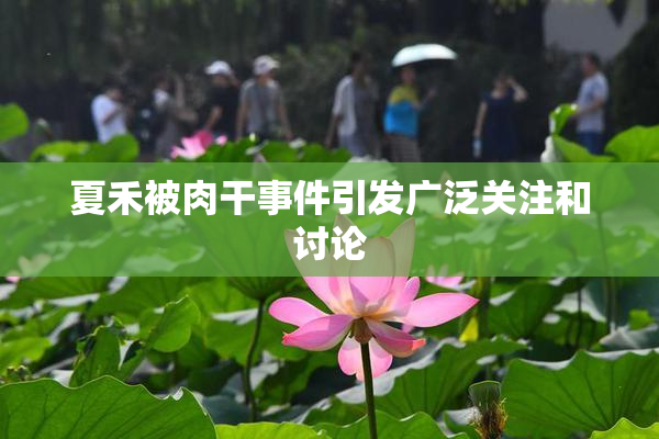 夏禾被肉干事件引发广泛关注和讨论