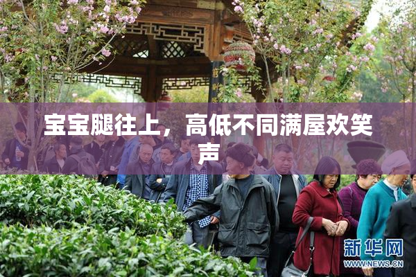 宝宝腿往上，高低不同满屋欢笑声