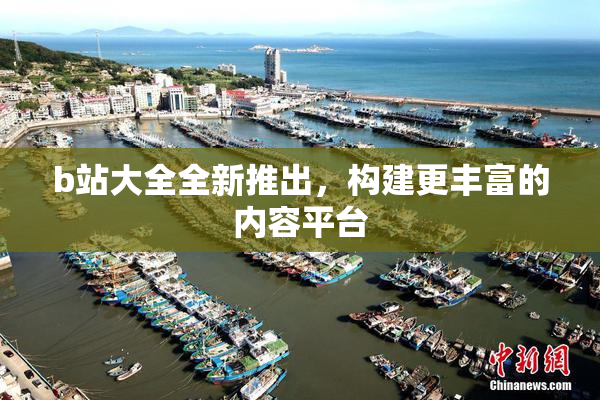 b站大全全新推出，构建更丰富的内容平台