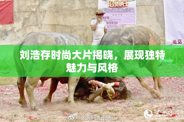 刘浩存时尚大片揭晓，展现独特魅力与风格