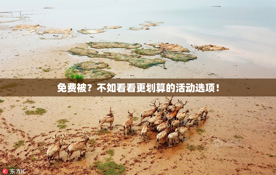 免费被？不如看看更划算的活动选项！