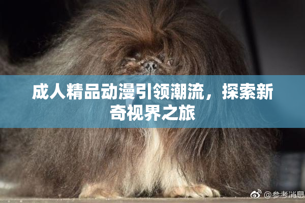 成人精品动漫引领潮流，探索新奇视界之旅