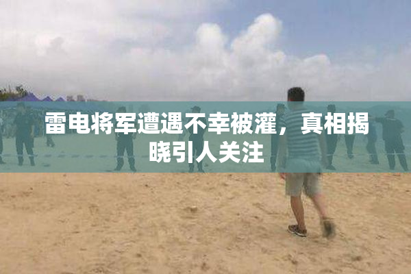 雷电将军遭遇不幸被灌，真相揭晓引人关注