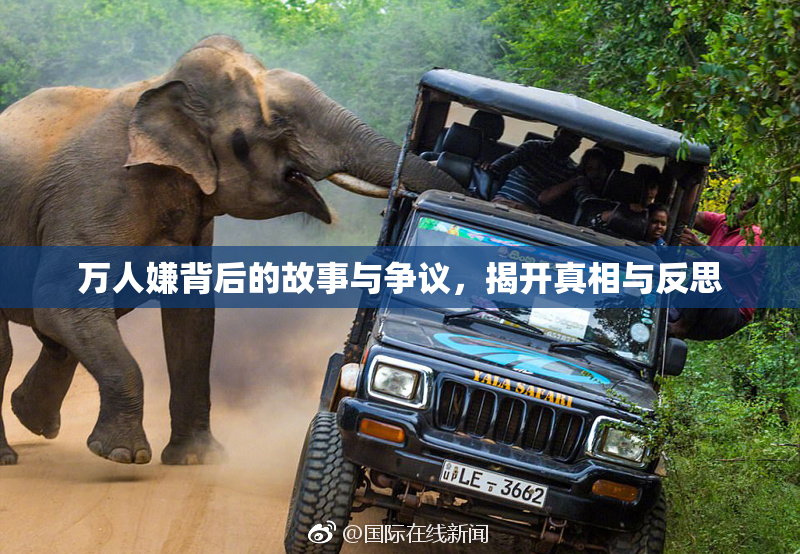 万人嫌背后的故事与争议，揭开真相与反思