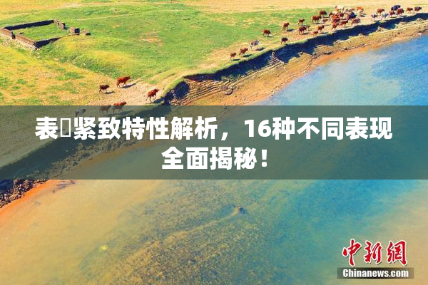 表妺紧致特性解析，16种不同表现全面揭秘！