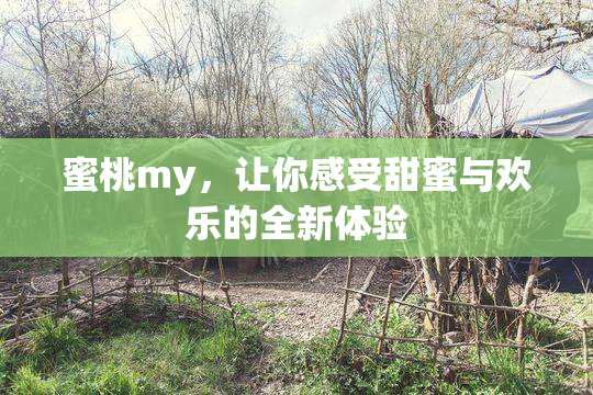 蜜桃my，让你感受甜蜜与欢乐的全新体验
