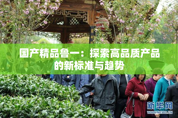 国产精品鲁一：探索高品质产品的新标准与趋势