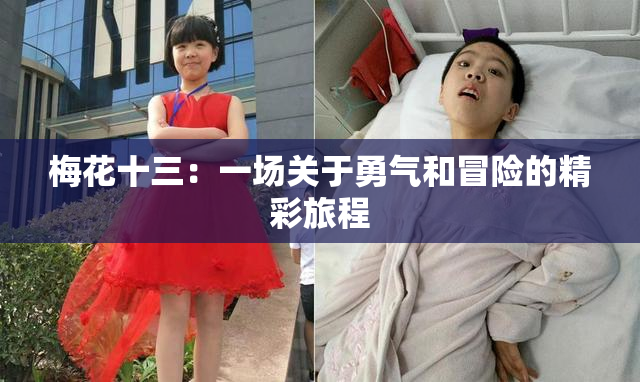 梅花十三：一场关于勇气和冒险的精彩旅程