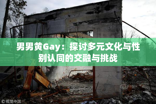 男男黄Gay：探讨多元文化与性别认同的交融与挑战