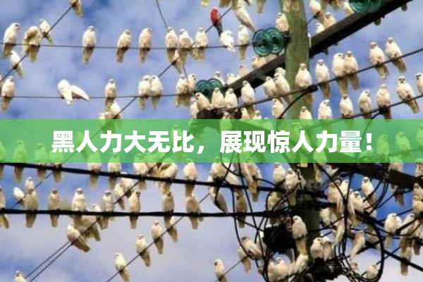 黑人力大无比，展现惊人力量！