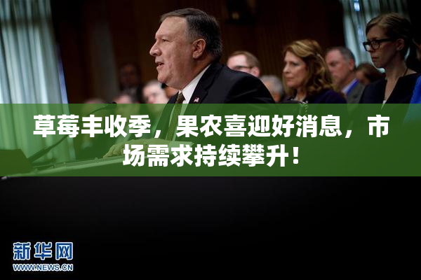 草莓丰收季，果农喜迎好消息，市场需求持续攀升！