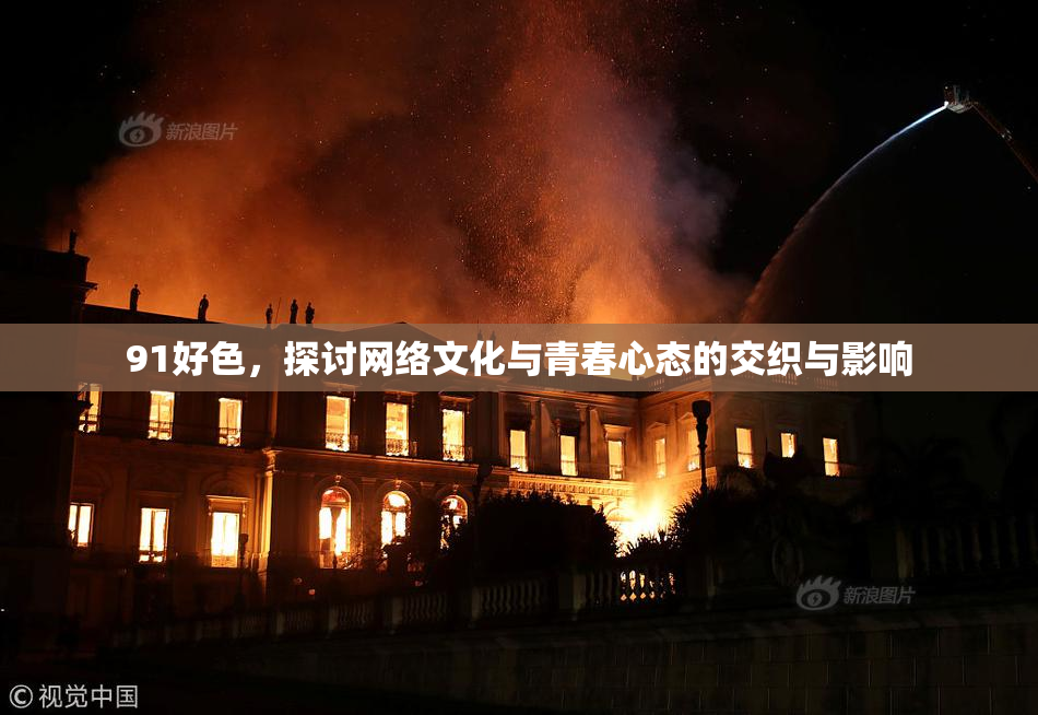 91好色，探讨网络文化与青春心态的交织与影响