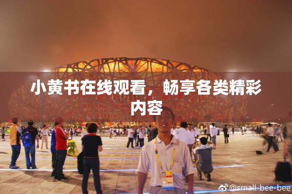小黄书在线观看，畅享各类精彩内容