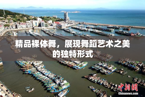 精品裸体舞，展现舞蹈艺术之美的独特形式