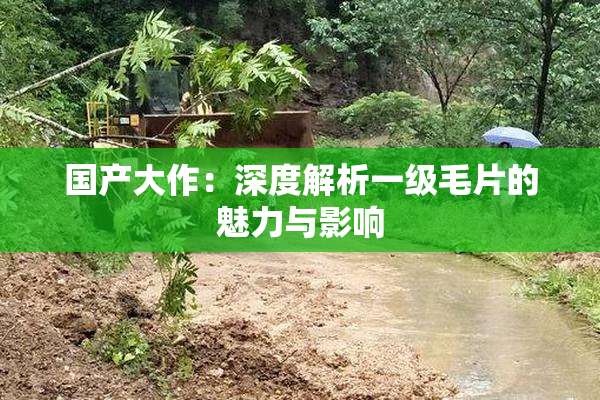 国产大作：深度解析一级毛片的魅力与影响