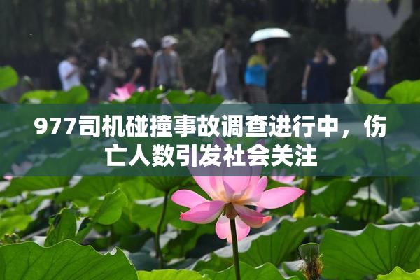 977司机碰撞事故调查进行中，伤亡人数引发社会关注