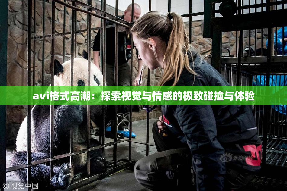 avi格式高潮：探索视觉与情感的极致碰撞与体验