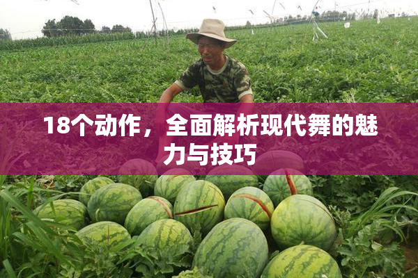 18个动作，全面解析现代舞的魅力与技巧
