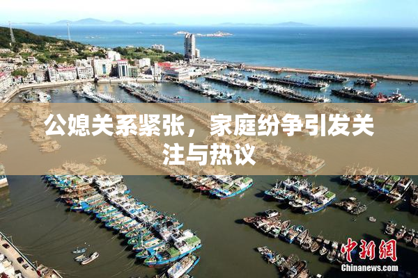 公媳关系紧张，家庭纷争引发关注与热议