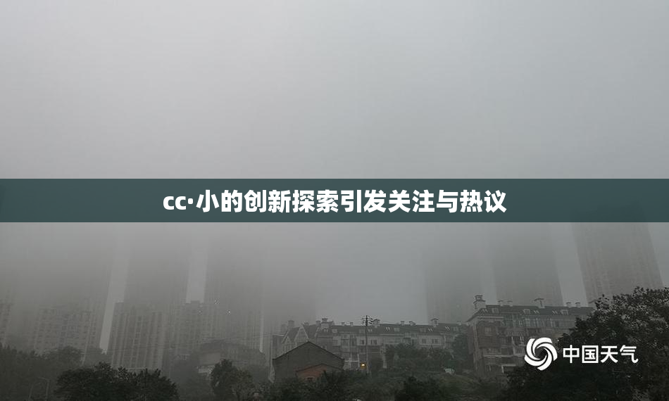 cc·小的创新探索引发关注与热议