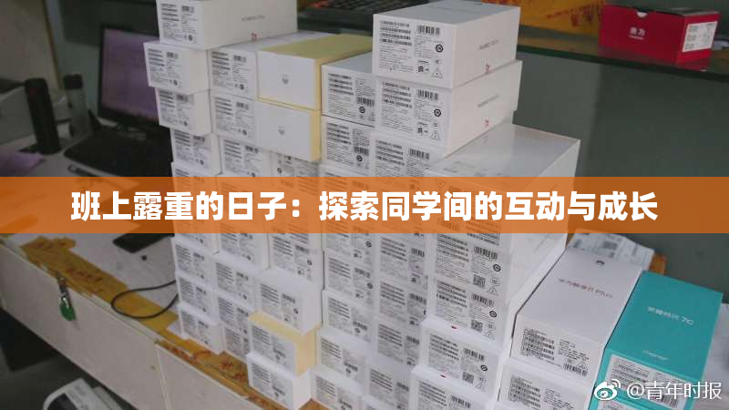 班上露重的日子：探索同学间的互动与成长