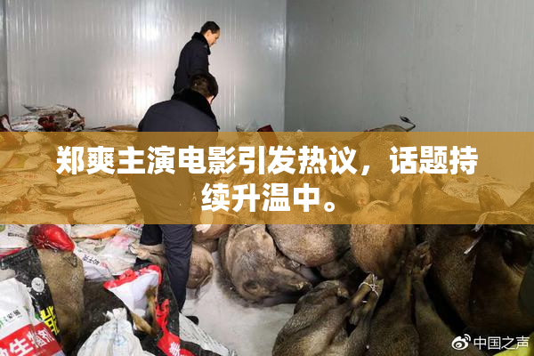 郑爽主演电影引发热议，话题持续升温中。